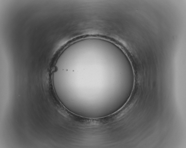 X0000110901263200906251330