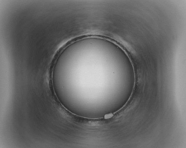 X0000110901264200906251330