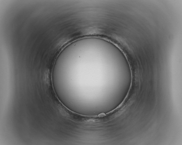 X0000110901265200906251330