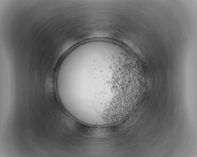 X0000110901266200906251330