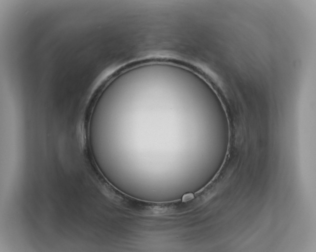 X0000110901271200906251330