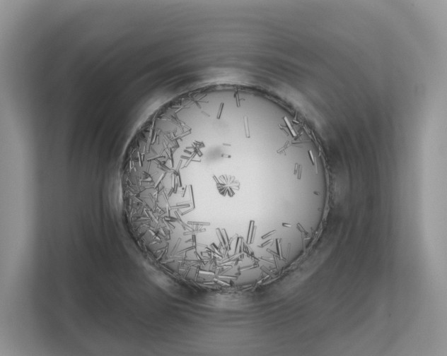 X0000110901274200906251330