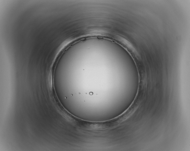 X0000110901275200906251330