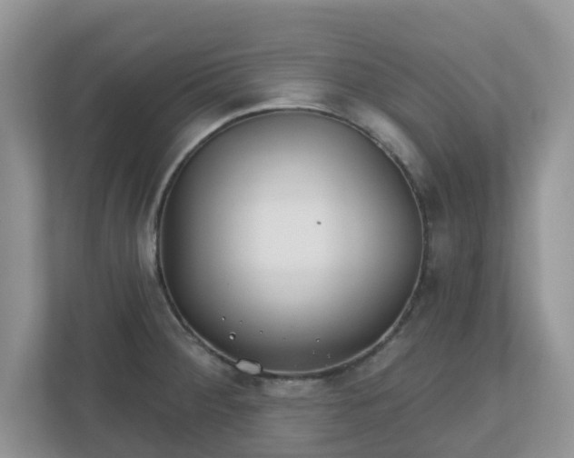 X0000110901284200906251330