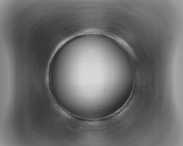 X0000110901288200906251330