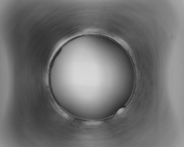 X0000110901296200906251330