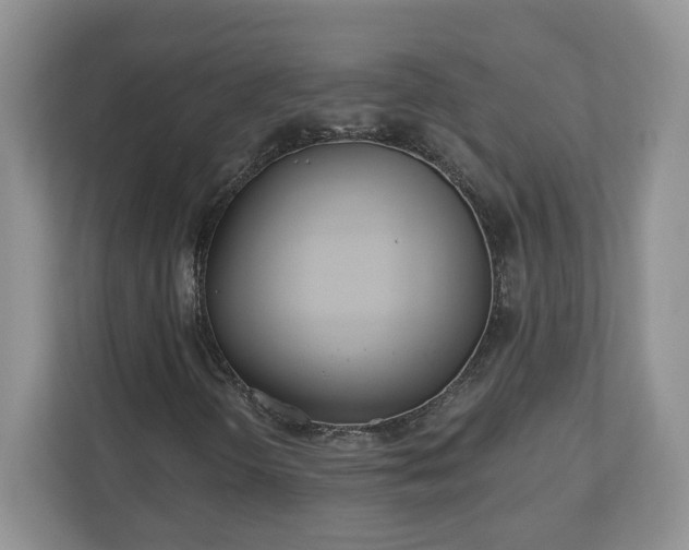 X0000110901298200906251329