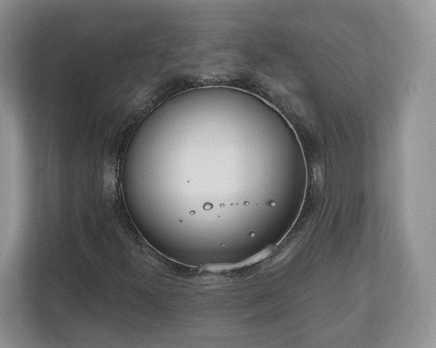 X0000110901300200906251329