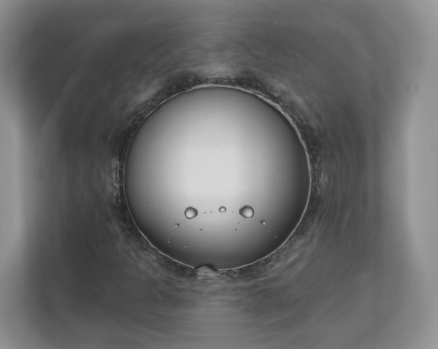 X0000110901301200906251329