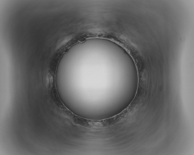 X0000110901302200906251329