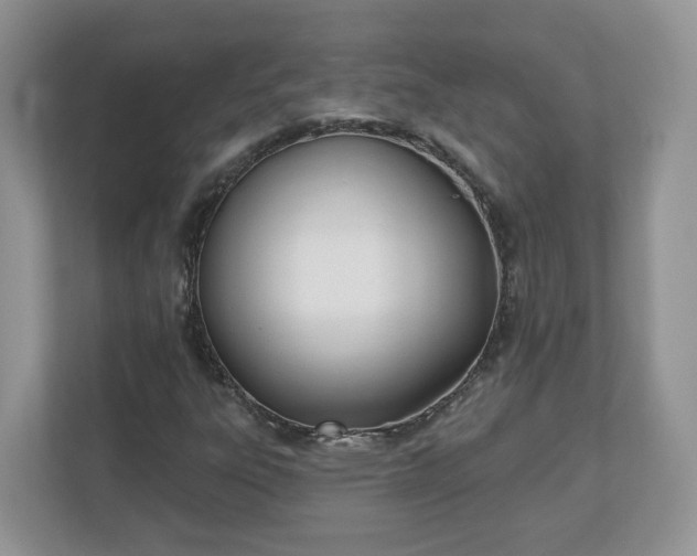 X0000110901303200906251329