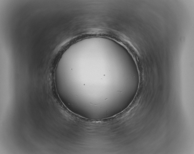 X0000110901304200906251329