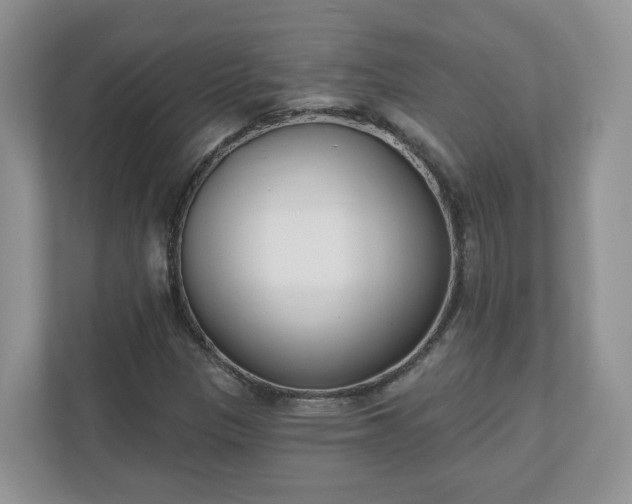 X0000110901305200906251329