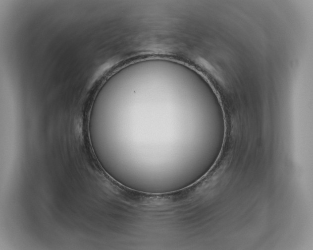 X0000110901307200906251329