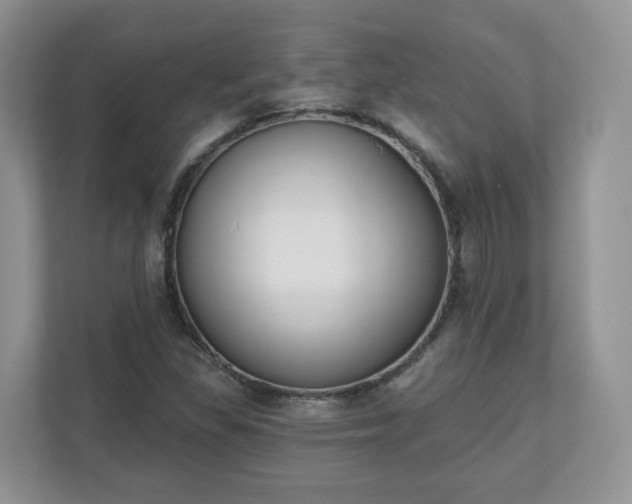X0000110901309200906251329