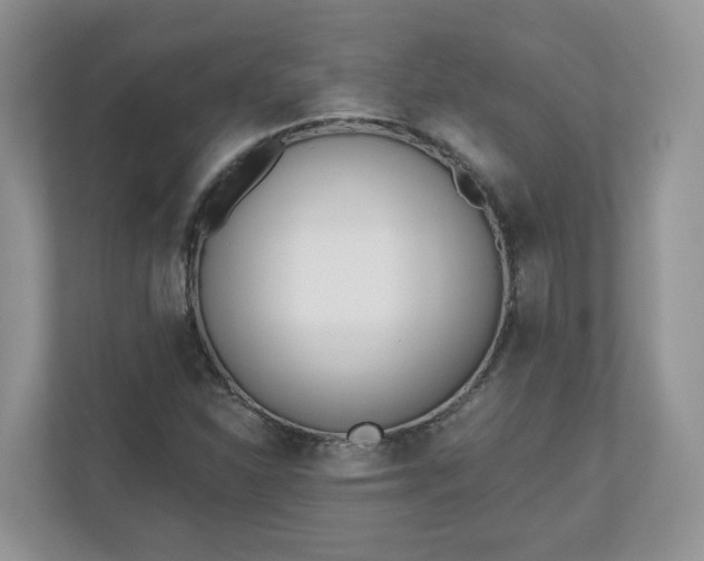 X0000110901310200906251329