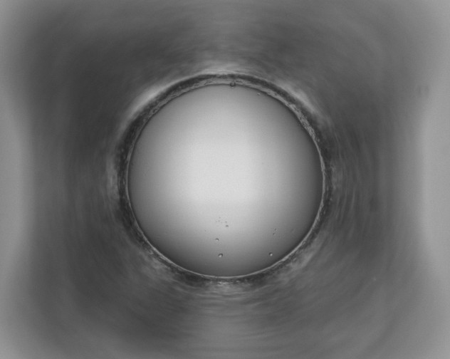 X0000110901311200906251329