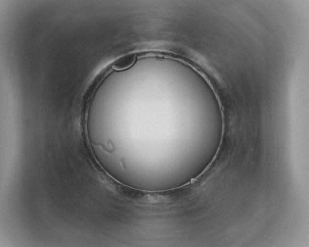 X0000110901312200906251329