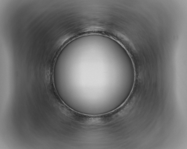 X0000110901313200906251329