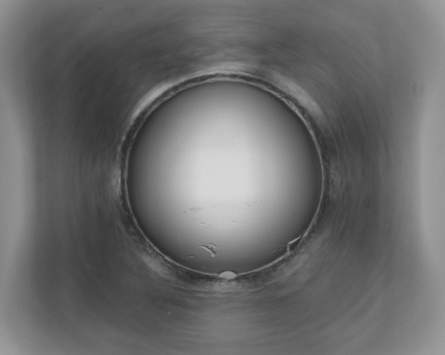 X0000110901316200906251329