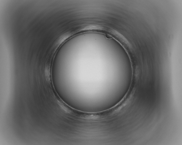 X0000110901321200906251330
