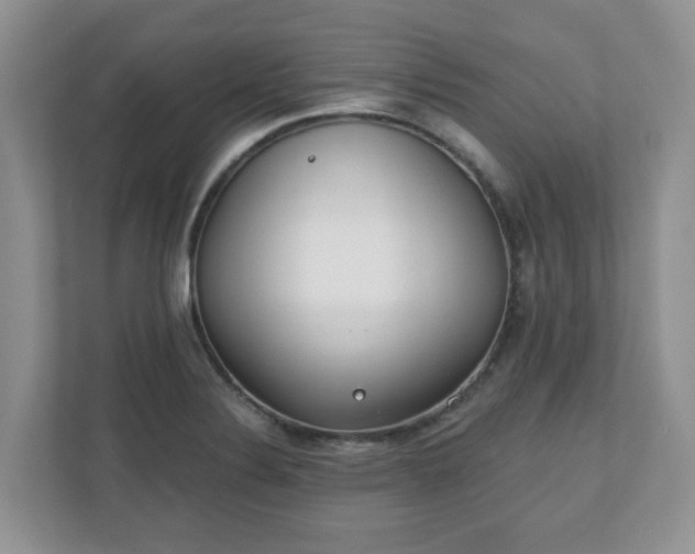 X0000110901324200906251330