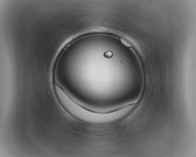 X0000110901326200906251330