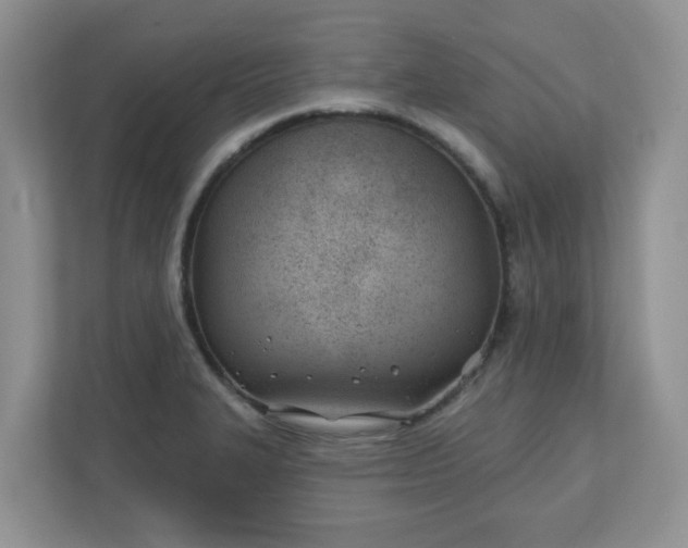 X0000110901327200906251330