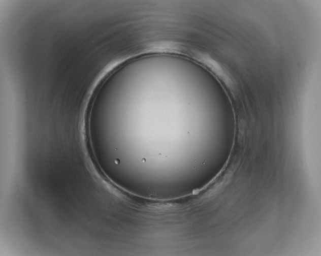 X0000110901331200906251330