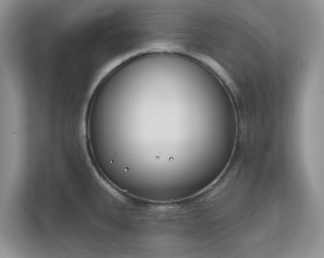 X0000110901335200906251330
