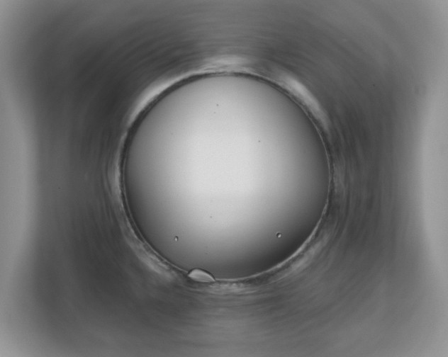 X0000110901336200906251330
