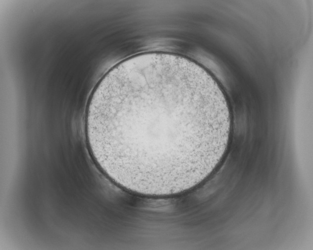 X0000110901338200906251330