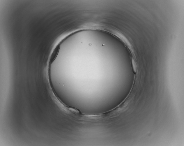 X0000110901344200906251330