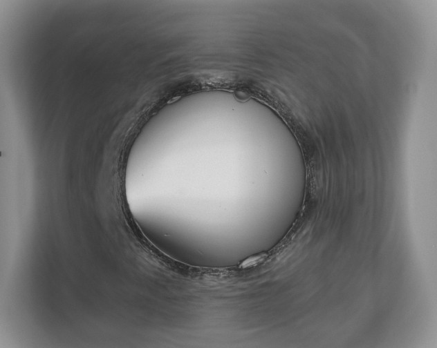 X0000110901345200906251329