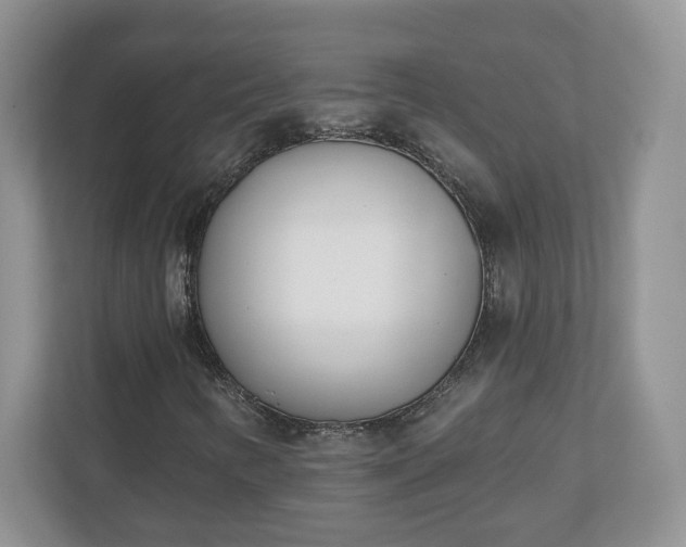 X0000110901346200906251329