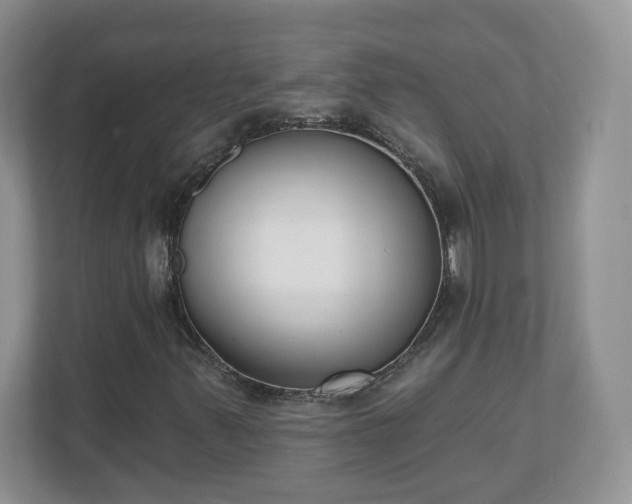 X0000110901347200906251329