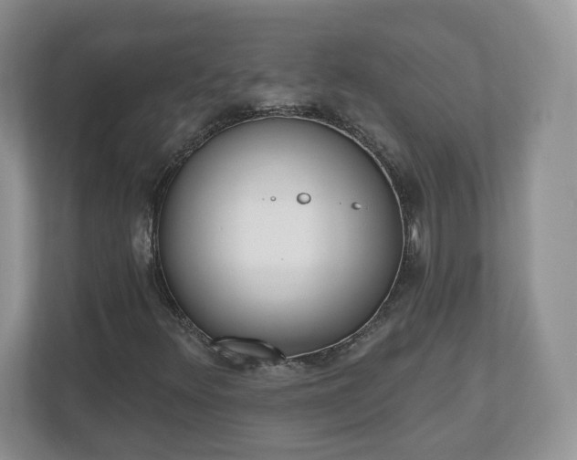 X0000110901348200906251329