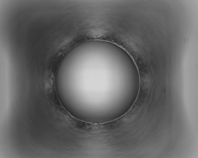 X0000110901349200906251329