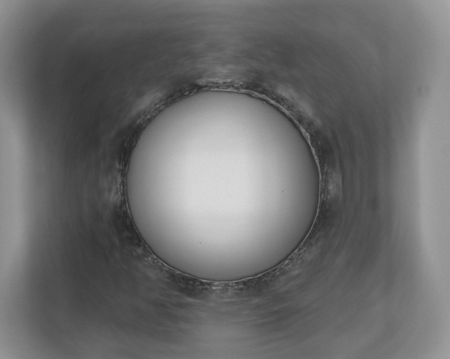 X0000110901350200906251329