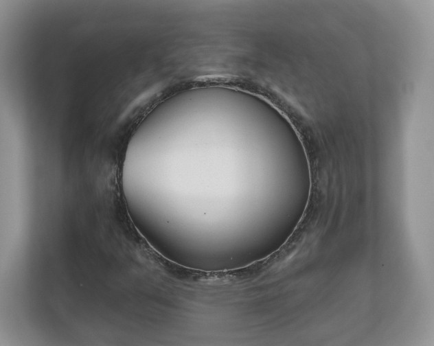 X0000110901351200906251329