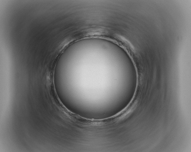X0000110901353200906251329