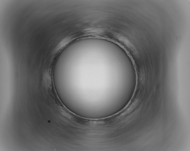 X0000110901354200906251329