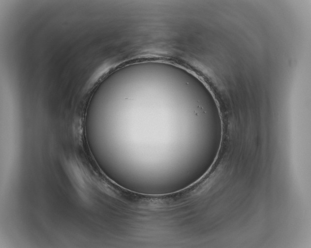 X0000110901355200906251329
