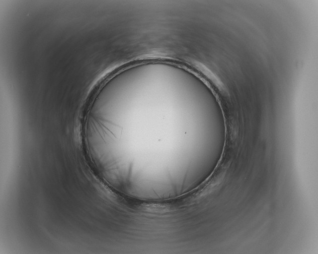 X0000110901356200906251329