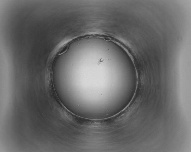 X0000110901359200906251329