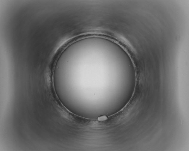 X0000110901360200906251329