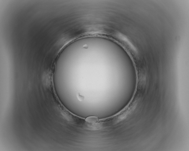 X0000110901361200906251329