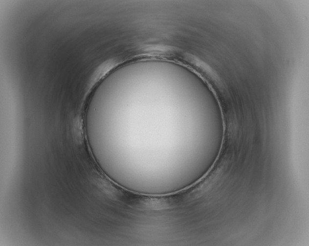X0000110901362200906251329
