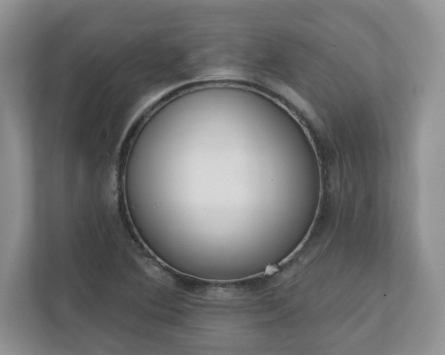 X0000110901364200906251329