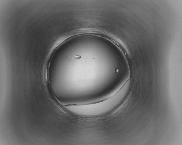 X0000110901365200906251329